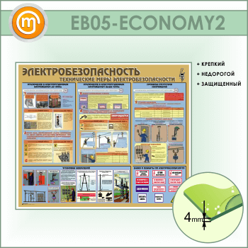 ����� ��������������������. ����������� ���� ������������������� (EB-05-ECONOMY2)