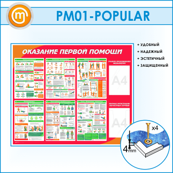 ����� ��������� ������ ������ � ������� � �������� ��������� (PM-01)