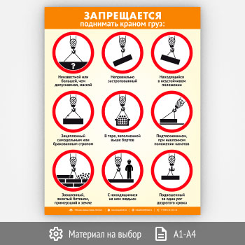 ������ ������������ ��������� ������ ���� (�-115, 1 ����)